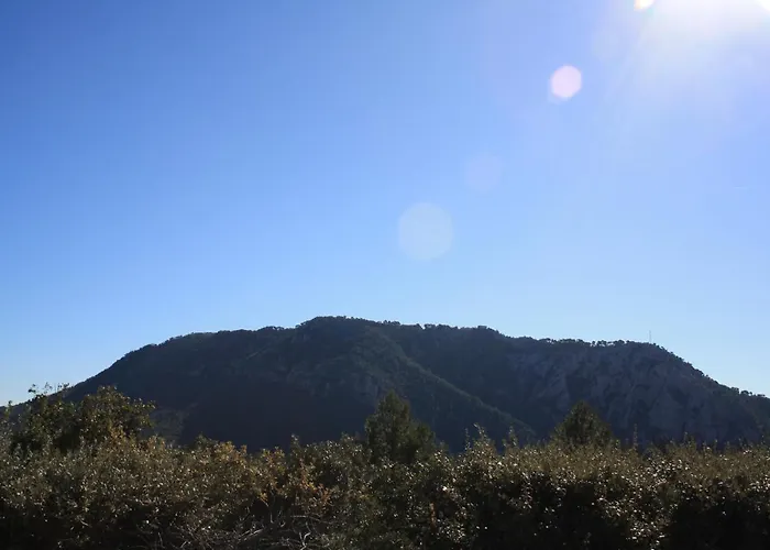 La Parenthese Amoureuse Oda ve Kahvaltı Toulon